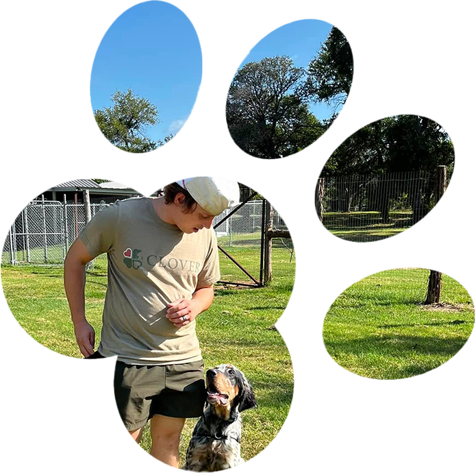 Personalized Training Programs