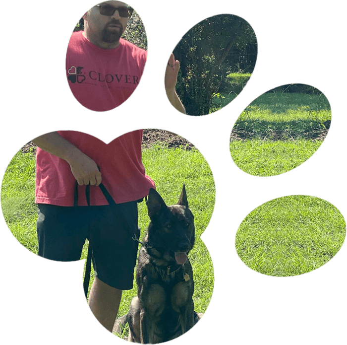 Personalized Training Programs